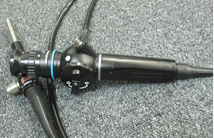 endoscope pour les petits animaux