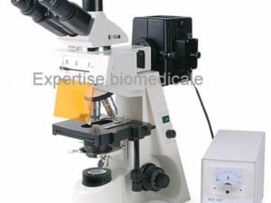 Microscope a fluorescence XYL-146