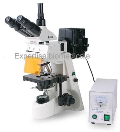 Microscope a fluorescence XYL-146