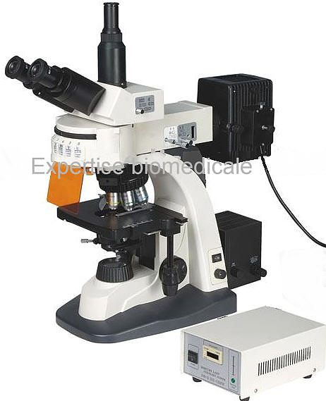 Microscope a epi fluorescence HS-XYL-606