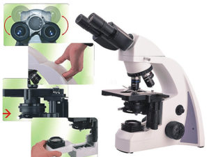 Microscope Novel 300 M a contraste de phase