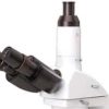 microscope novel 300 M tete trinoculaire
