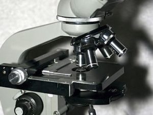 Microscope occasion Olympus pour parodontie