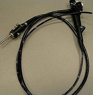 gastroscope petits animaux