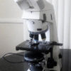 Microscope Zeiss Akioskop