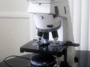 Microscope Zeiss Akioskop