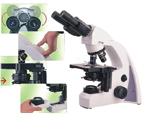 Parondontologie Microscopie