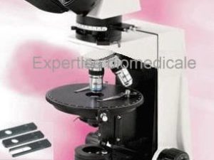Microscope a polarisation XP-HS-NPL