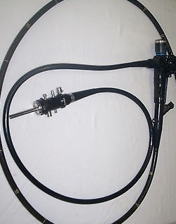 endoscope pour médecine gastrologie des chevaux Olympus CF1tl