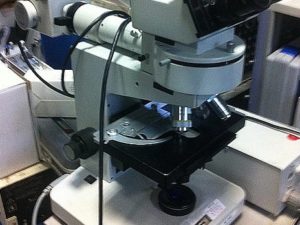 microscope a epi epifluorescence leitz