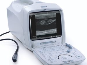 Echographe portable landwind c40 veterinaire