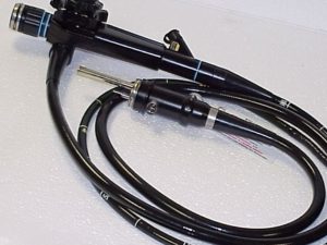 Endoscope souple gastroscopie equine