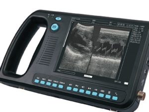 Echographe portable wed 3000 veterinaire